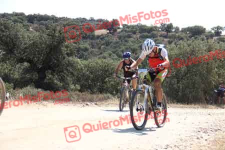 PEDRO MOYANO MARTIN Talajara 2015 22239