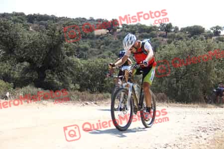 PEDRO MOYANO MARTIN Talajara 2015 22240