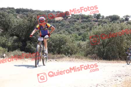 LUIS DE LA PUENTE Talajara 2015 22816