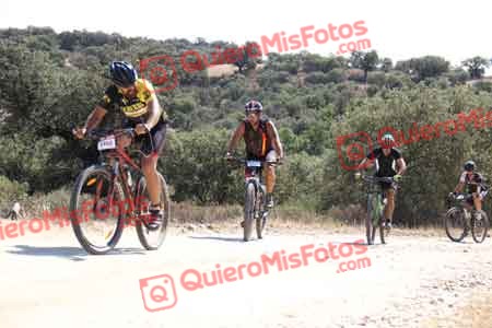 MIGUEL HERNANDEZ ESTERAS Talajara 2015 22987