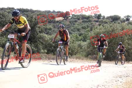 MIGUEL HERNANDEZ ESTERAS Talajara 2015 22988