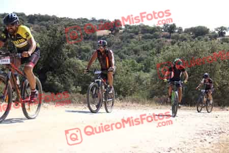 MIGUEL HERNANDEZ ESTERAS Talajara 2015 22989