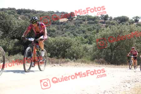 RAFAEL DE MIGUEL PARIENTE Talajara 2015 23301