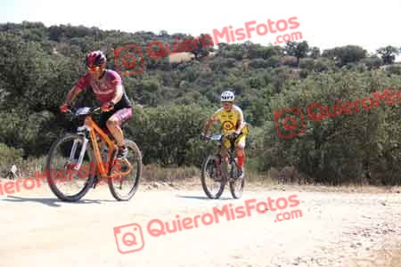MIGUEL SERRANO SOLIS Talajara 2015 23309