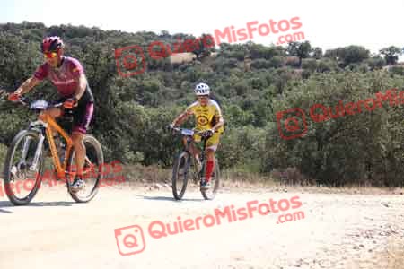 MIGUEL SERRANO SOLIS Talajara 2015 23311