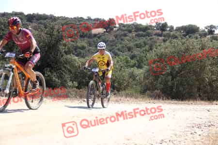 GREGORIO RODELGO ROLDAN Talajara 2015 23312