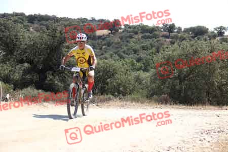 GREGORIO RODELGO ROLDAN Talajara 2015 23314