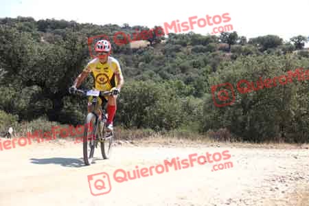 GREGORIO RODELGO ROLDAN Talajara 2015 23315