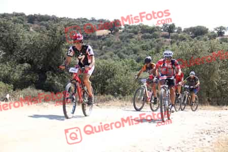 JAVIER AGUADO TORREJON Talajara 2015 23604