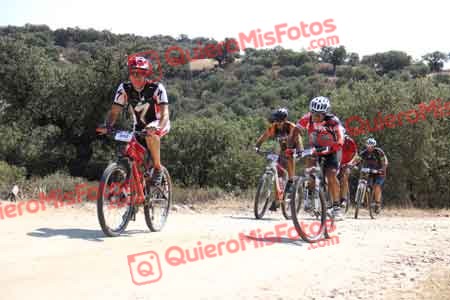 JAVIER AGUADO TORREJON Talajara 2015 23605