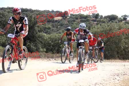 JAVIER AGUADO TORREJON Talajara 2015 23608