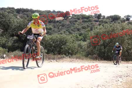 JOSE LUIS ALVAREZ VAZ Talajara 2015 23654
