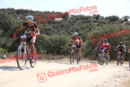 JESUS LOBO TORRE Talajara 2015 24893