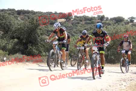 RAUL TORRES AGUDO Talajara 2015 25146