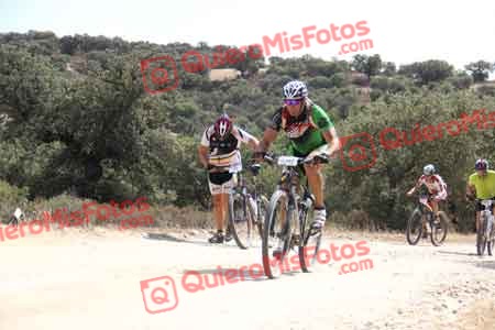 MIGUEL ANGEL ADAN DORADO Talajara 2015 25485