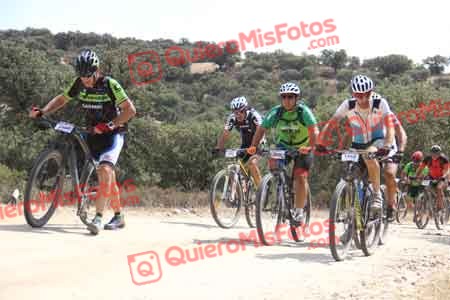 JOSE LUIS SALGADO VEGA Talajara 2015 25730