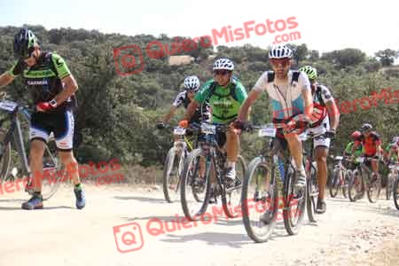 JOSE LUIS SALGADO VEGA Talajara 2015 25732