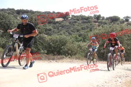 MIGUEL ANGEL ASO VISCASILLAS Talajara 2015 25768