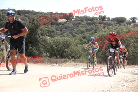MIGUEL ANGEL ASO VISCASILLAS Talajara 2015 25770