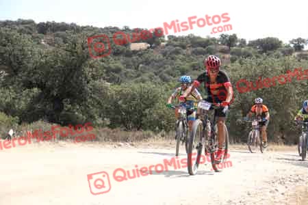 MIGUEL ANGEL ASO VISCASILLAS Talajara 2015 25771