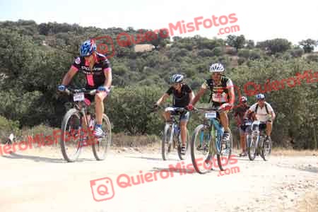 SERGIO GOMEZ AMORES Talajara 2015 25955