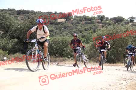 JOSE MARIA PASCUAL HERRANZ Talajara 2015 25966