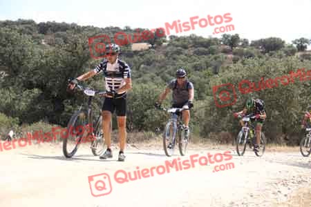 VICENTE SALCEDO NUEVO Talajara 2015 26105