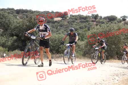 VICENTE SALCEDO NUEVO Talajara 2015 26106
