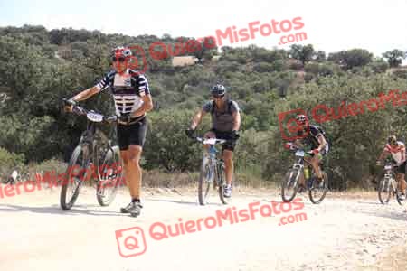 VICENTE SALCEDO NUEVO Talajara 2015 26107