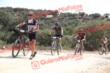 VICENTE SALCEDO NUEVO Talajara 2015 26108