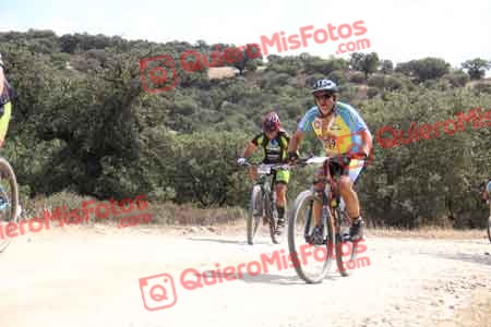 FRANCISCO PRIETO MARTIN Talajara 2015 26534
