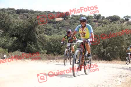 FRANCISCO PRIETO MARTIN Talajara 2015 26535