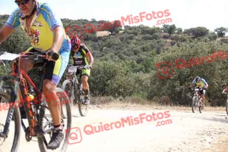 FRANCISCO PRIETO MARTIN Talajara 2015 26538