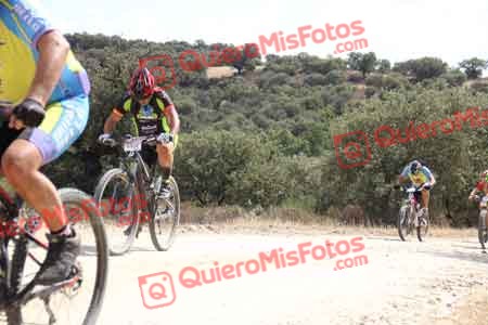 FRANCISCO PRIETO MARTIN Talajara 2015 26539