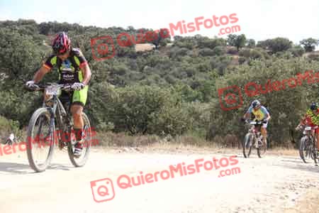 FRANCISCO PRIETO MARTIN Talajara 2015 26541