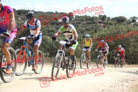 ISMAEL GIL REAL Talajara 2015 26600