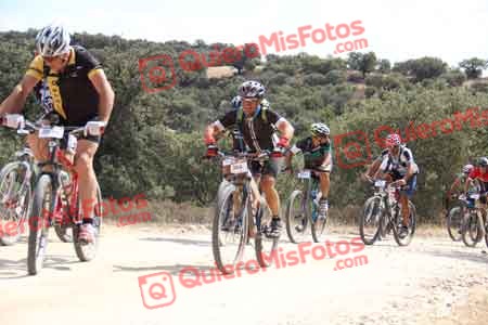 JOSE LUIS VICARIO GOMEZ Talajara 2015 26690