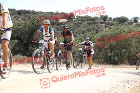 JUAN ANTONIO TRILLO RAMOS Talajara 2015 26890