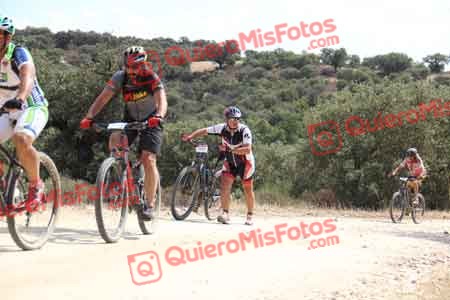 JUAN ANTONIO TRILLO RAMOS Talajara 2015 26896
