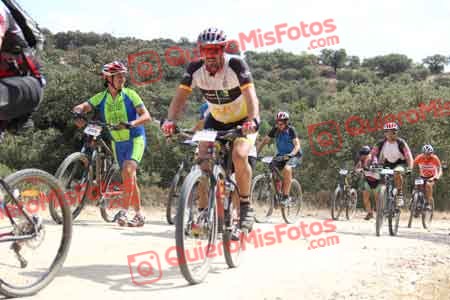 JOSE ANTONIO PRATS MAYORGA Talajara 2015 27202