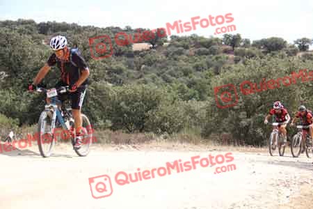 PEDRO GALLARDO DIAGO Talajara 2015 27385