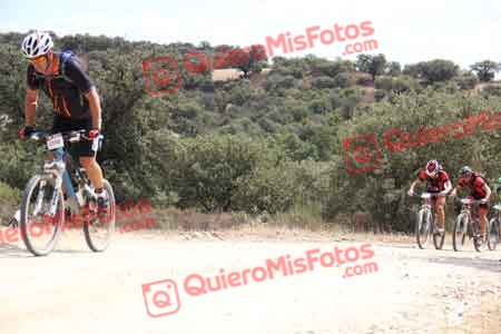 PEDRO GALLARDO DIAGO Talajara 2015 27386