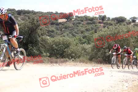 PEDRO GALLARDO DIAGO Talajara 2015 27387
