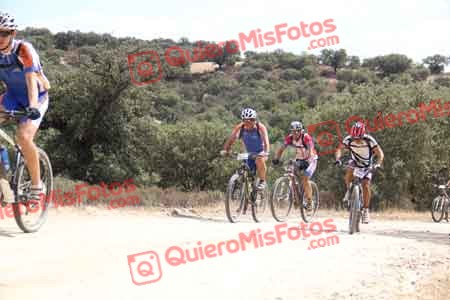 PABLO ARCOS SALVADOR Talajara 2015 27706