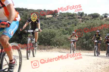 JOSE CASTELLON BUENO Talajara 2015 27782