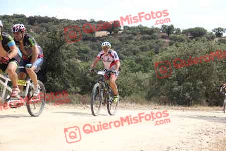 PEDRO HERNANDEZ ORGAZ Talajara 2015 27843