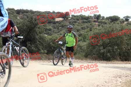 TOMAS GUERRA PELETERO Talajara 2015 27882