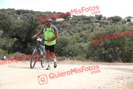 TOMAS GUERRA PELETERO Talajara 2015 27883