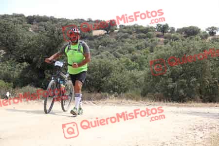 TOMAS GUERRA PELETERO Talajara 2015 27884