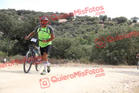 TOMAS GUERRA PELETERO Talajara 2015 27885